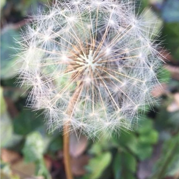 Meet your Posher, Michele - Picture 3 of 8